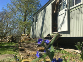 Отель Posh Huts Farmstay  Алстон